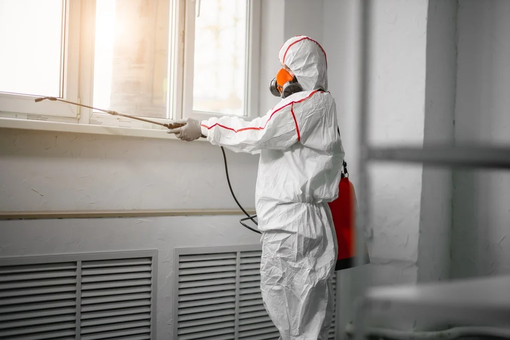 Professional mold remediation services in Sunny Side, GA